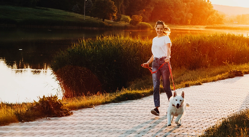 Mountain Property - Location - Clyde Five - hover